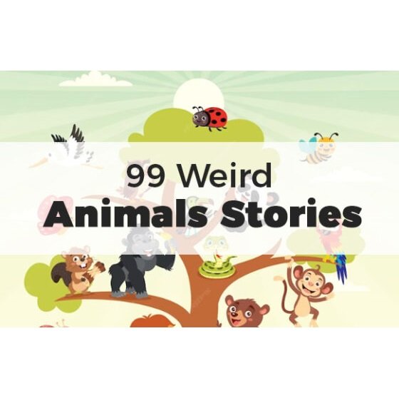 99 Weird Animals Stories - eBook with Resell Rights